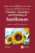 Genetics, Genomics and Breeding of Sunflower