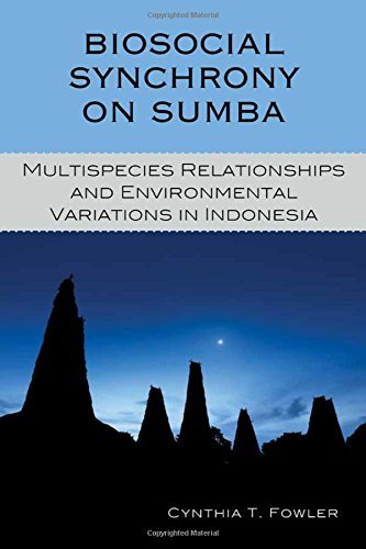 Biosocial Synchrony on Sumba