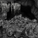 Engulfed in Pestilent Darkness
