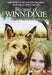 Because of Winn-Dixie -