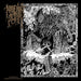 Realms Of Exquisite Morbidity (Black Vinyl)