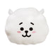 BT21 Rj Cushion 12.5In