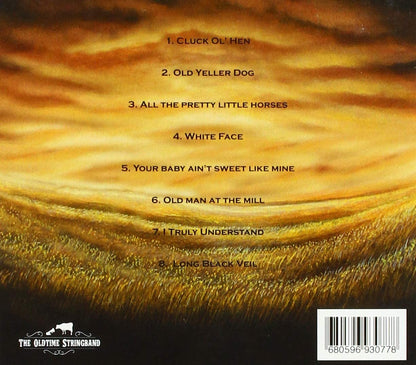 Oldtime Stringband - Pretty Little Horses