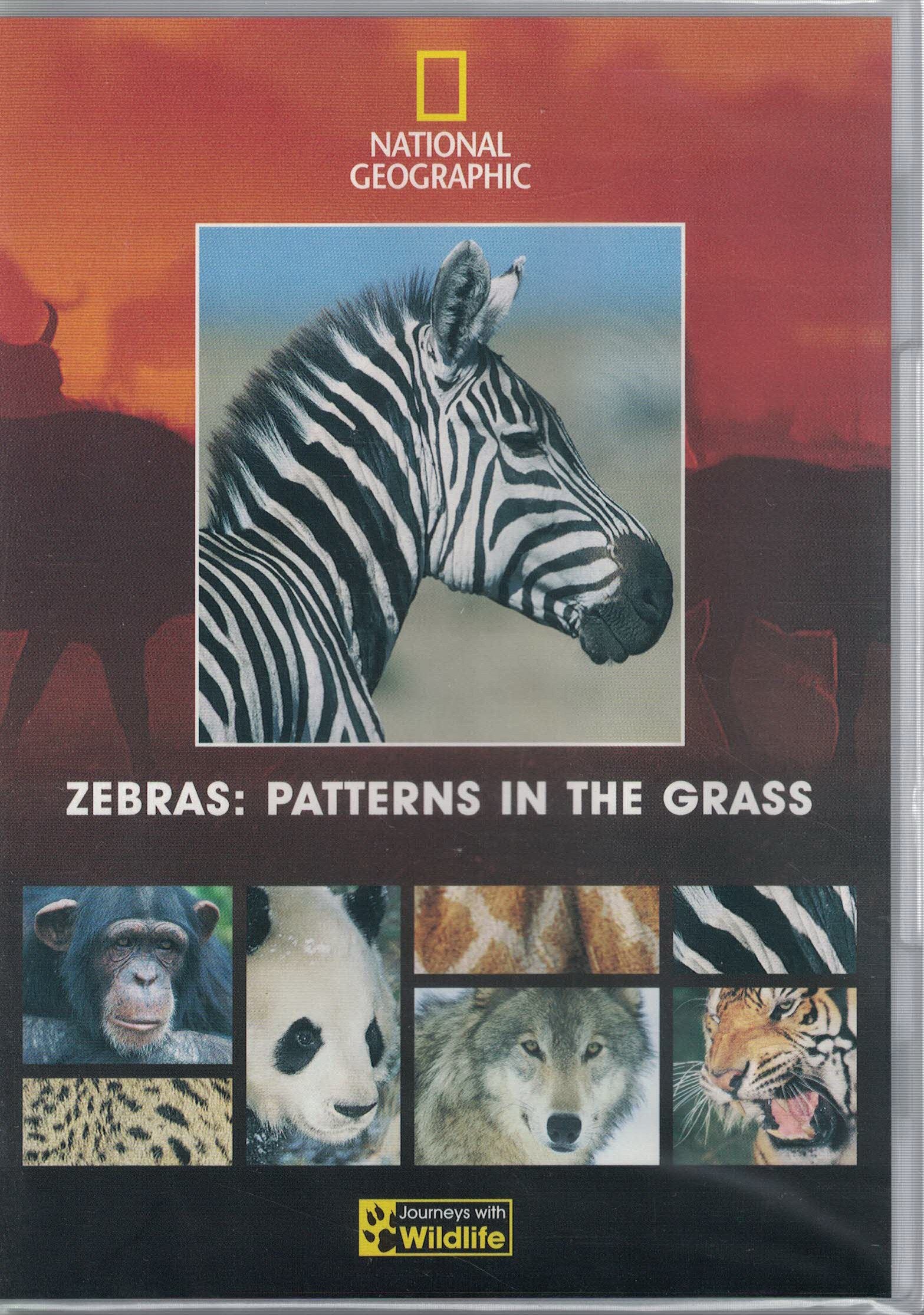 National Geographic - Zebras, Patterns in The Grass DVD