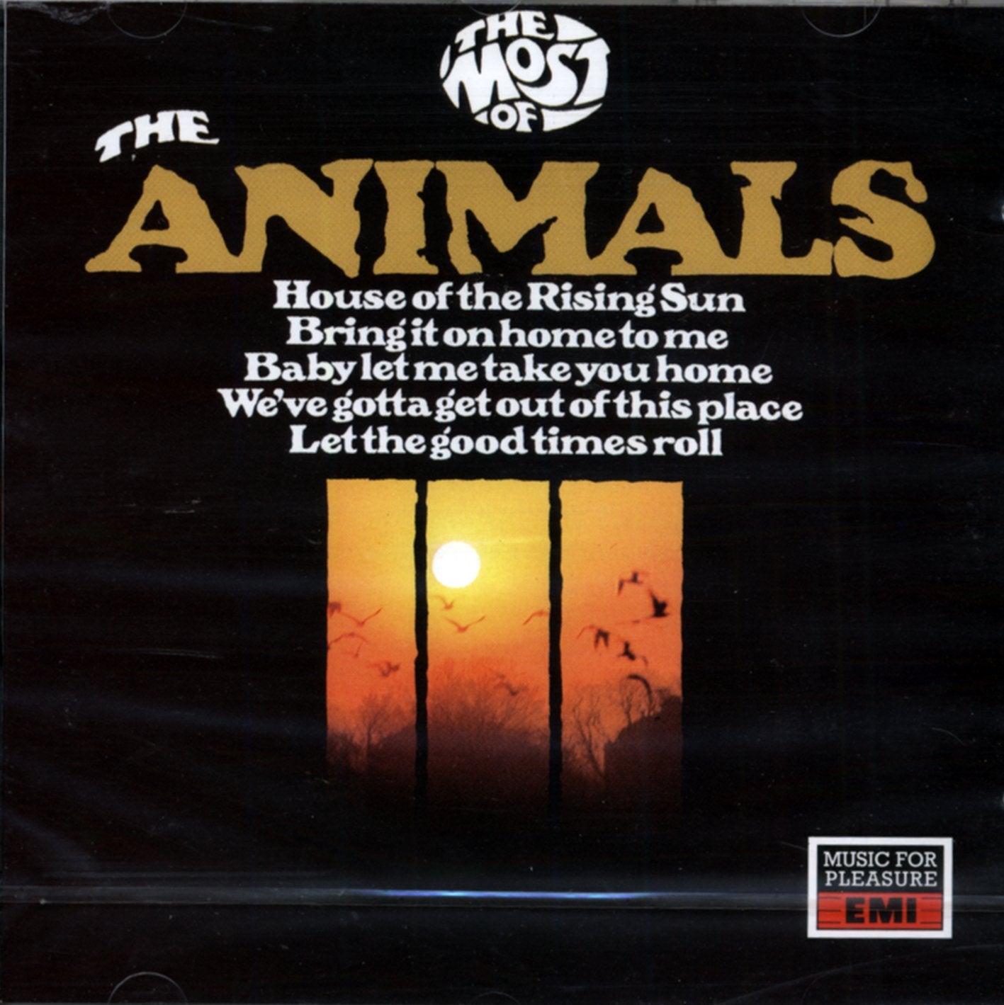 Most of the Animals