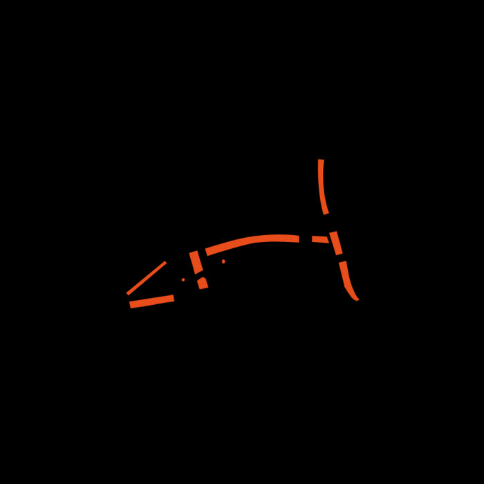 Bike Shield Brompton Kit de Escudo, Unisex, Mate Transparente, Talla única