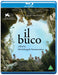 Il Buco