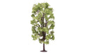 Hornby-Lime Tree Los Materiales escénicos, Multicolor (R7221