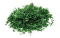 Hornby Flock - Dark Green