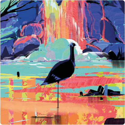 Disc Cover