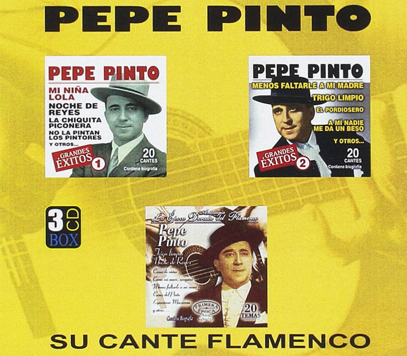 Su cante flamenco