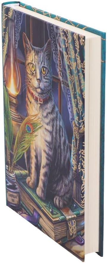 Nemesis Now Lisa Parker Book of Shadows Journal, Multi Coloured, 17cm