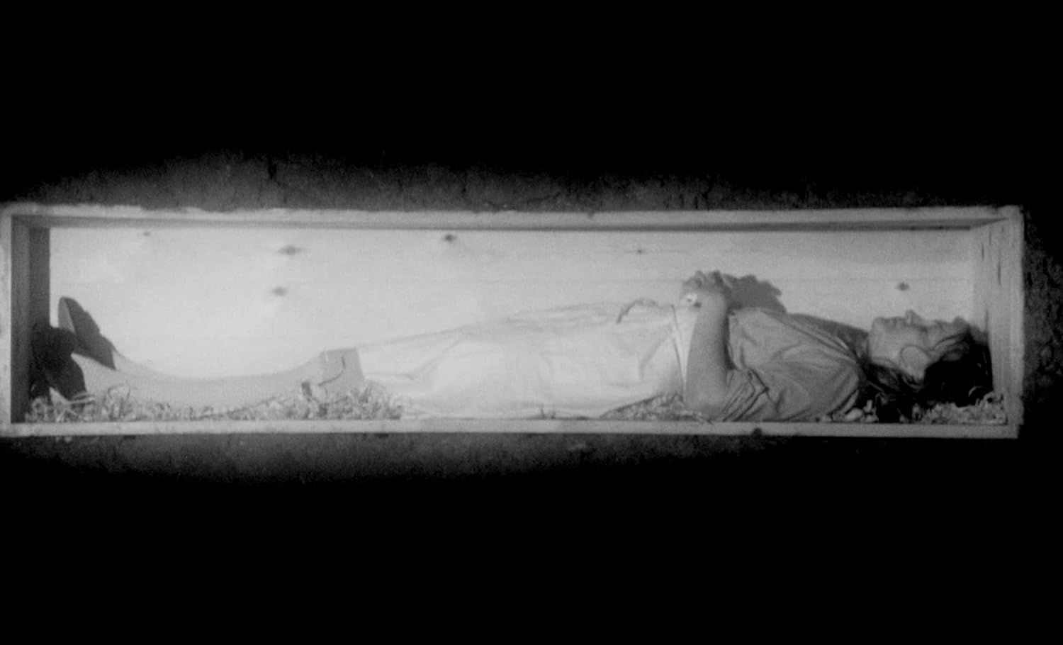 Lars von Trier's Europe Trilogy (The Criterion Collection)