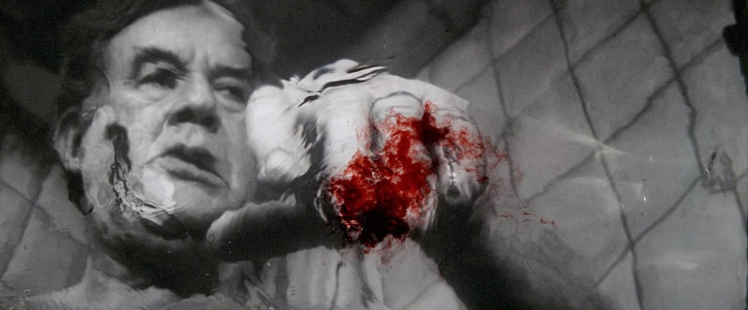 Lars von Trier's Europe Trilogy (The Criterion Collection)