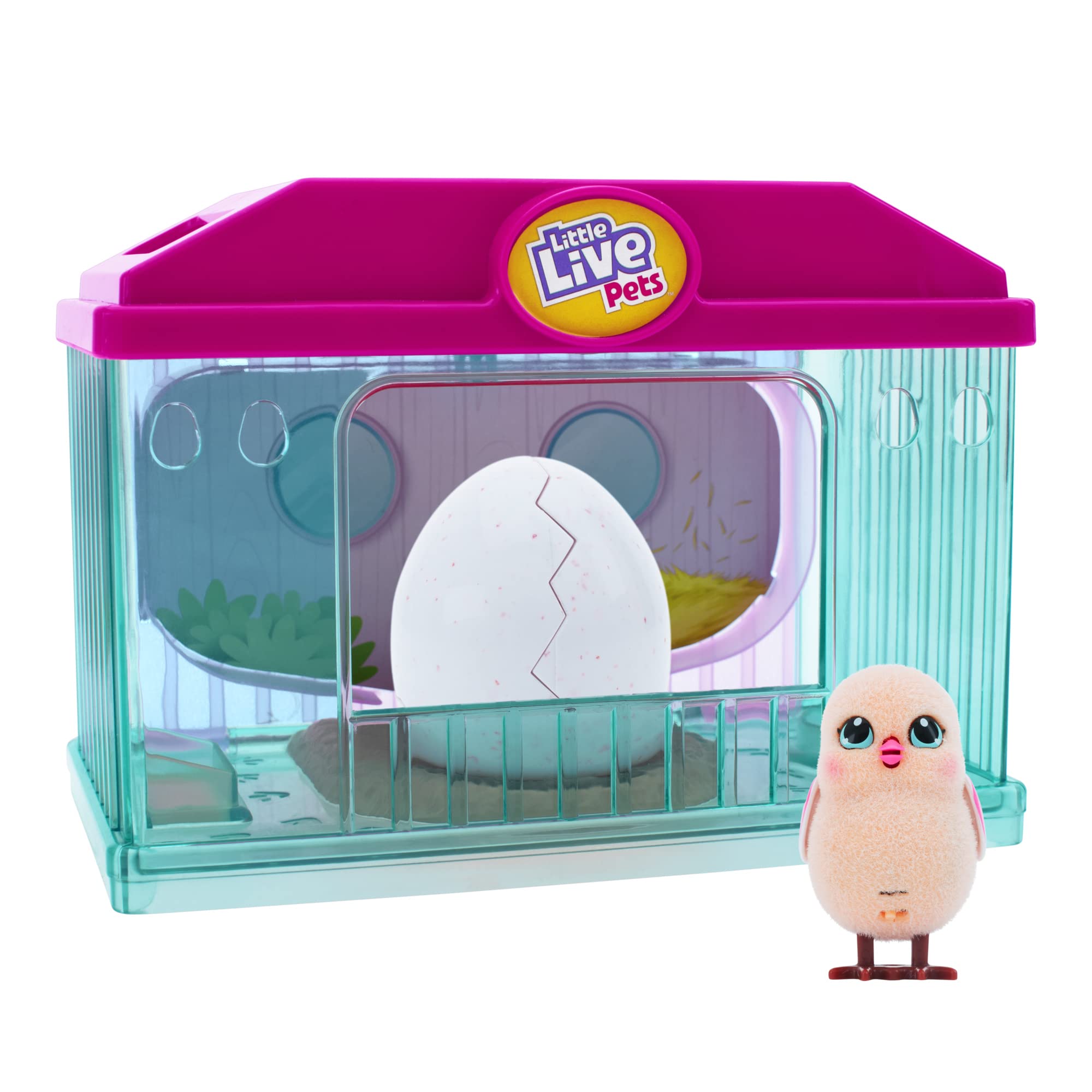 Little Live Pets; Surprise Chick Hatching House; Cute Interactive Collectible Toy Chick Chirps & Taps; Hatches Out Of Egg & Hops About