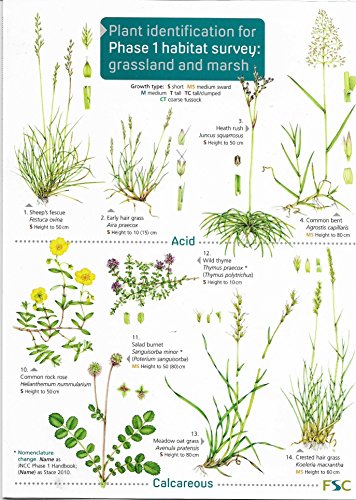 Plant Identification for Phase 1 Habitat Survey: Grassland and Marsh