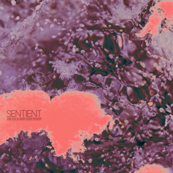 VOK ENS & JOHN DEREK BISHOP-SENTIENT