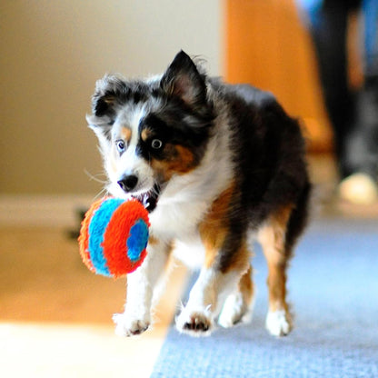 Chuckit! Indoor Roller Dog Toy Soft Puppy Chew Toy Throw and Fetch For Dogs