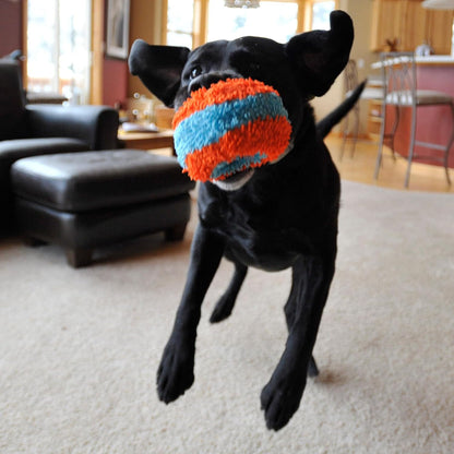 Chuckit! Indoor Roller Dog Toy Soft Puppy Chew Toy Throw and Fetch For Dogs