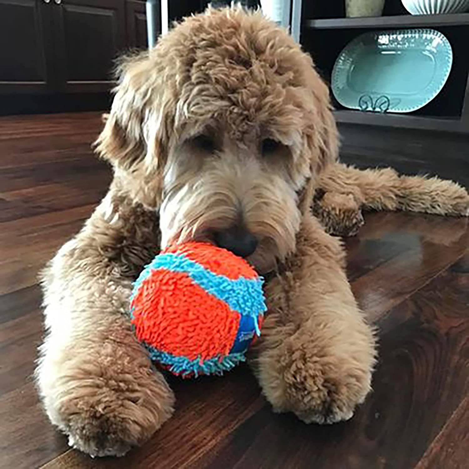 Chuckit! Indoor Ball , Soft Dog Toy (4.75 Inch) Fetch Ball