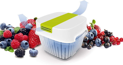 Rotho, Fresh, Fresh food box small with ventilation 1.6 l, Plastic (PP) BPA white/green, 1,6l (15,5 x 15,5 x 12,3 cm) 1,6l (15,5 x 15,5 x 12,3 cm) White/Green