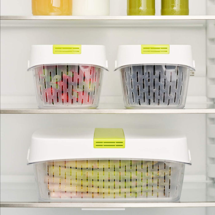 Rotho, Fresh, Fresh food box small with ventilation 1.6 l, Plastic (PP) BPA white/green, 1,6l (15,5 x 15,5 x 12,3 cm) 1,6l (15,5 x 15,5 x 12,3 cm) White/Green