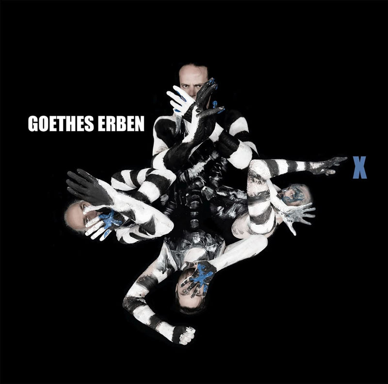 GOETHES ERBEN - X