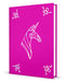 Renegade Game Studios My Little Pony Roleplaying Game Expanded Character Sheet Journal