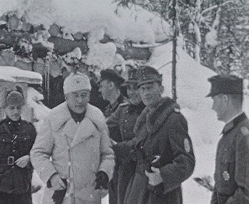 Der Krieg am Polarkreis