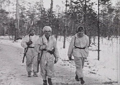 Der Krieg am Polarkreis