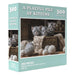 Wilder Games A Playful Pile of Kittens Prank Puzzle - 300 Piece Jigsaw Puzzle for Adults