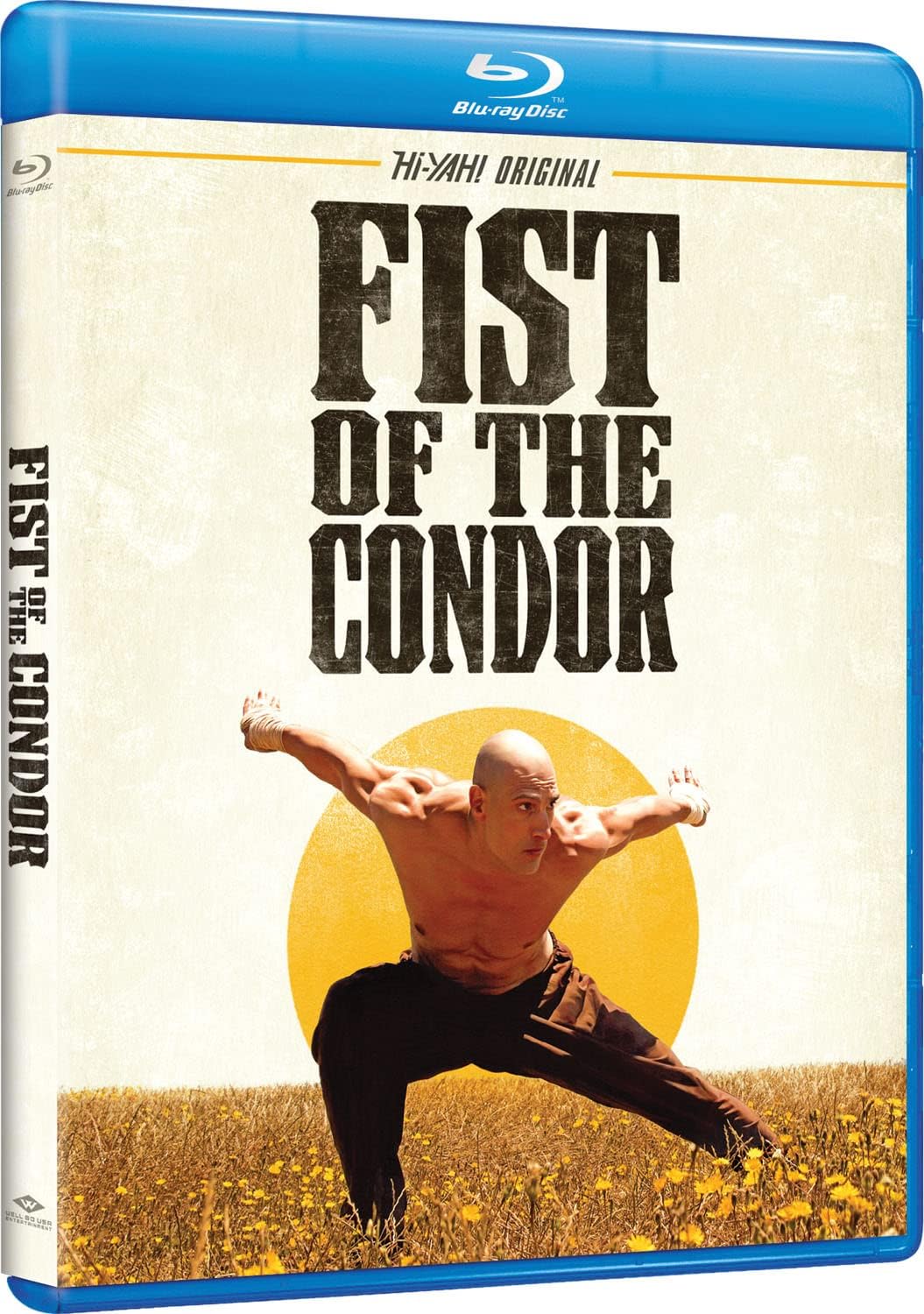 Fist of the Condor