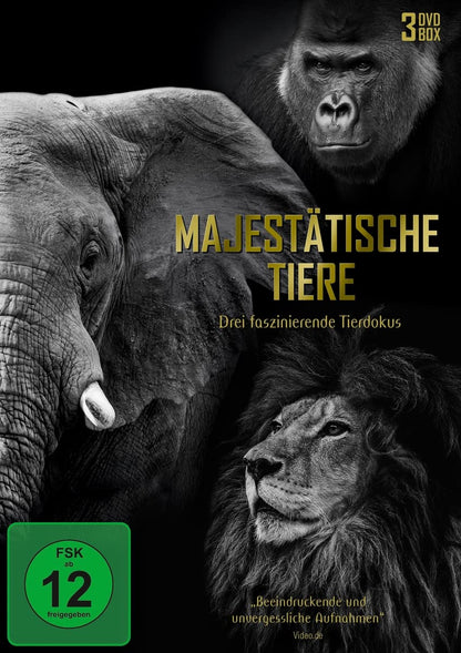 Majestätische Tiere - Drei faszinierende Tierdokus