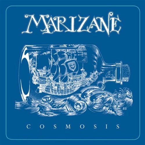 Cosmosis