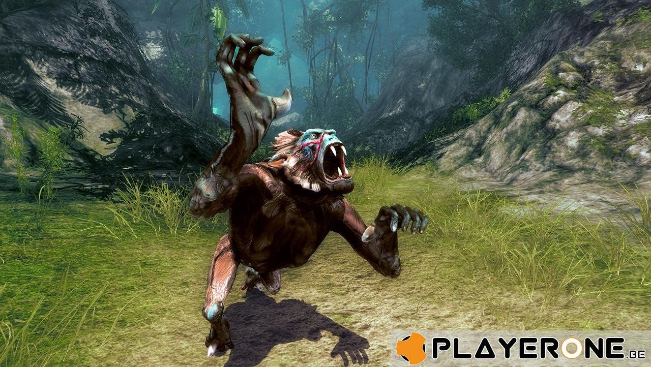 Playstation 3 - Risen 2 : Dark Waters ( Bonus : The Air Temple )