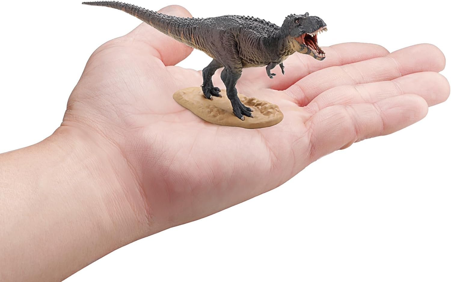 Testbrands Good Smile Company MAY228643 Dinosaurier Figure, Farbe, Einheitsgröße
