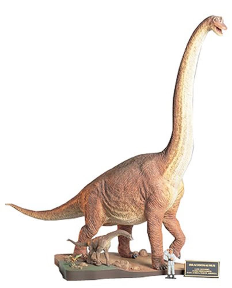 Tamiya - Figura Brachiosaurus Diorama Set Scala 1:35 (Giappone Import