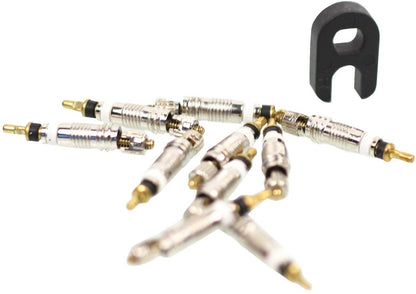 Effetto Mariposa Shell Unisex Adult's Presta Valve (x10), Silver