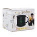 Half Moon Bay - Harry Potter Mug - 430ml - Dark Arts - Work Mug Mugs for Adults Cup - Enamel Mug