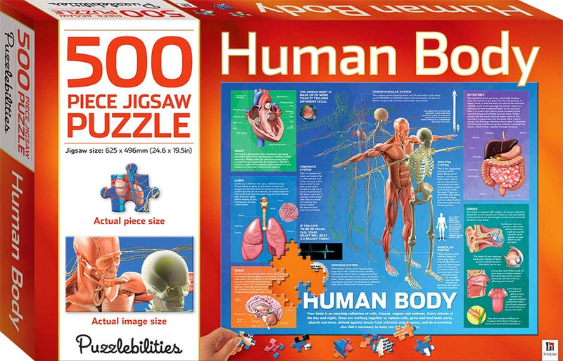 Puzzlebilities 500-Piece Jigsaw Puzzles for Children - Home Learning Educational Jigsaw (Human Body