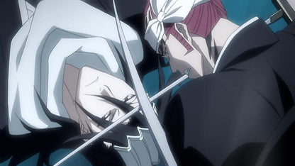 Coffret bleach, vol. 19, saison 5