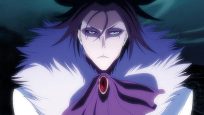 Coffret bleach, vol. 19, saison 5
