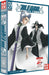Coffret bleach, saison 6, vol. 27