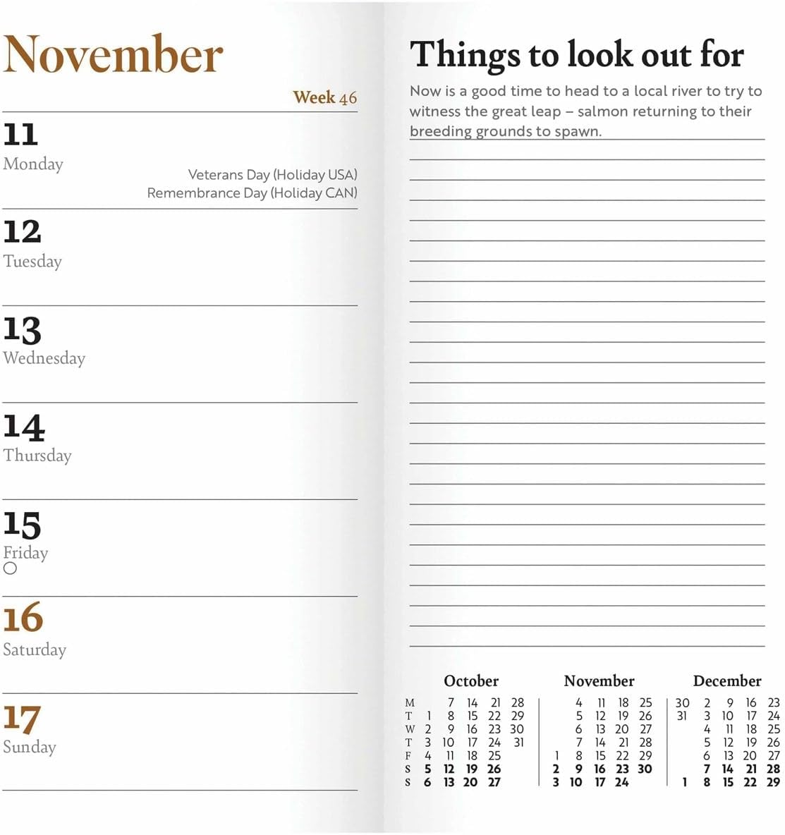 CAROUSEL CALENDARS RSPB Slim Diary 2024
