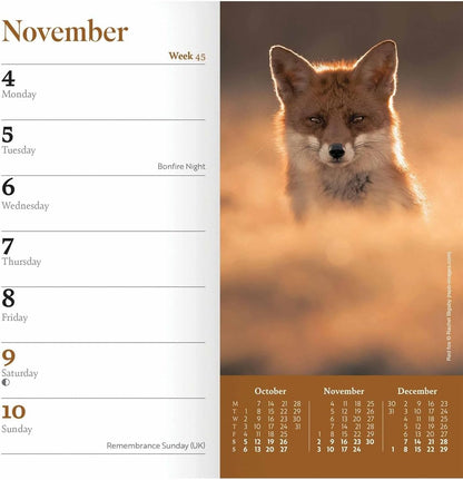CAROUSEL CALENDARS RSPB Slim Diary 2024