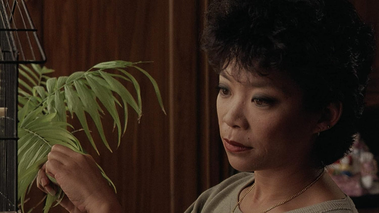 Dim Sum: A Little Bit of Heart (The Criterion Collection)