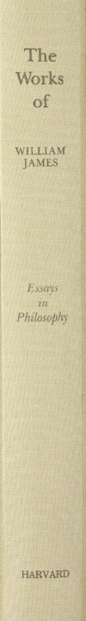 Essays in Philosophy