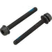 Campagnolo 20-24mm Rear Mount Screws 29mm x2