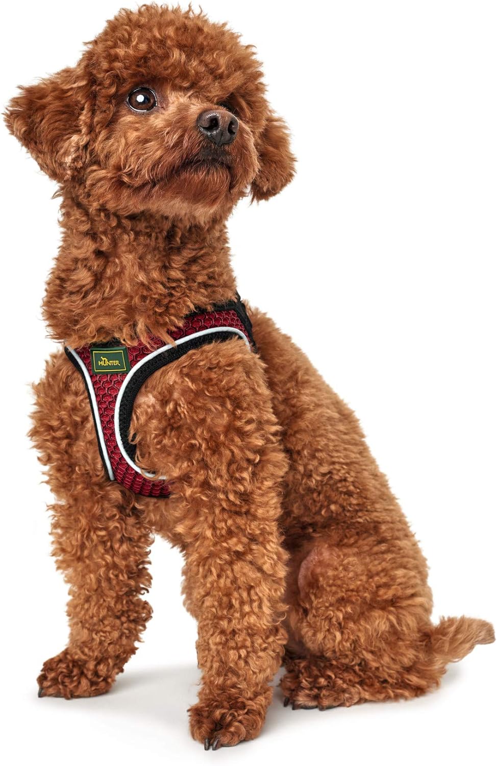 HUNTER Hilo Comfort Harness for Small Dogs, with mesh Material and Reflective Elements,red,S red Small