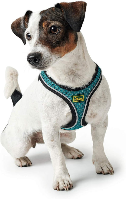 Dog Harness Hunter Hilo-Comfort Turquoise Xl S/M (48-55 Cm)